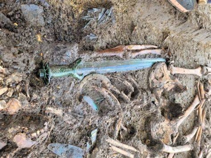 German archeologists find Bronze Age sword so well-preserved it ‘almost shines’