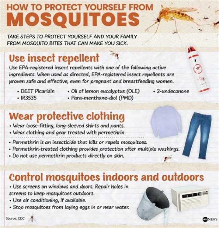 Hate mosquitoes? This scent could help keep the pests away