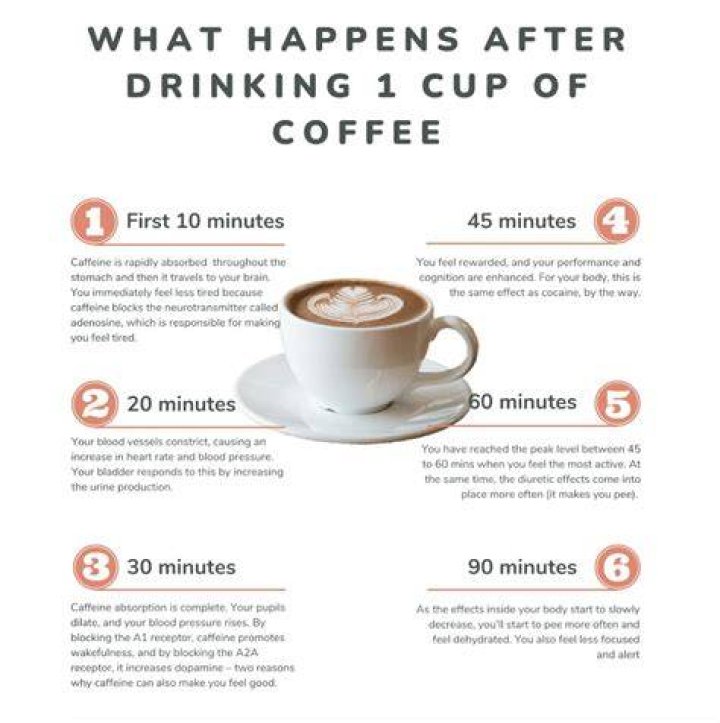Here's how much coffee you should drink every day to lose weight
