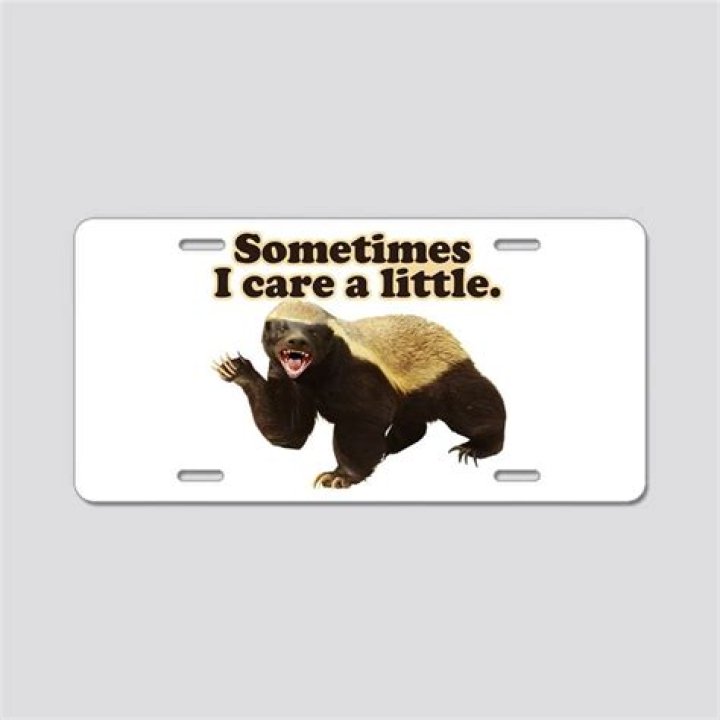 Honey Badger does care!