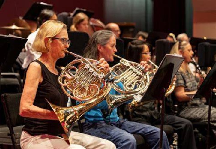 Horn section