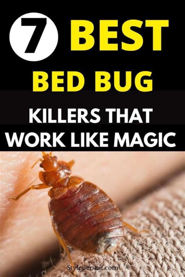 Hotel worker shares genius trick for avoiding bed bugs