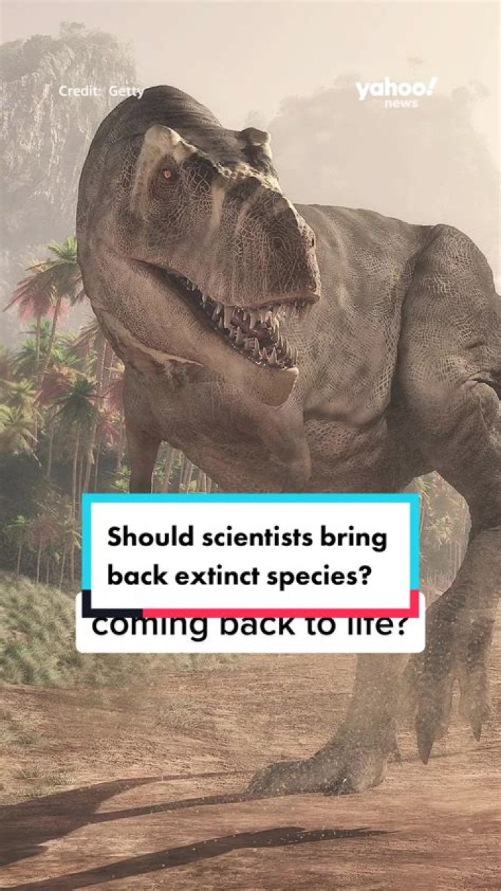 How scientists actually could bring dinosaurs back to life