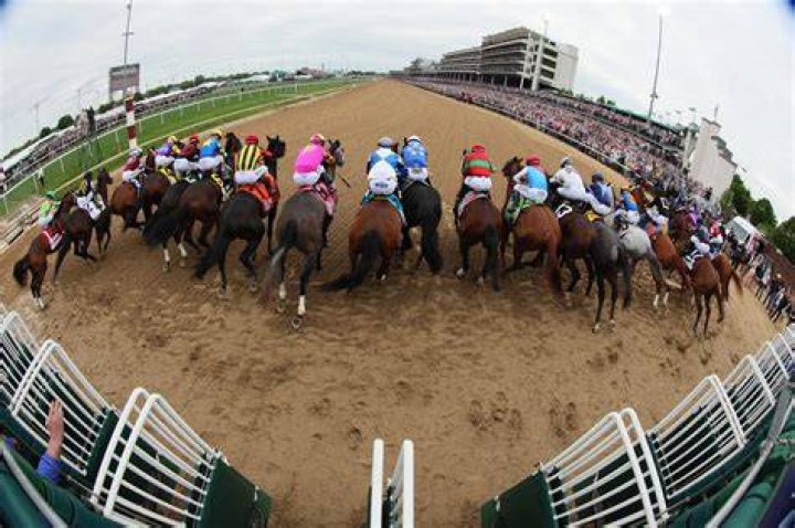 How the Kentucky Derby horses get their names