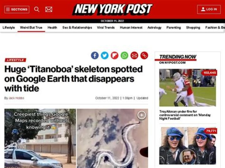 Huge ‘Titanoboa’ skeleton spotted on Google Earth that disappears with tide