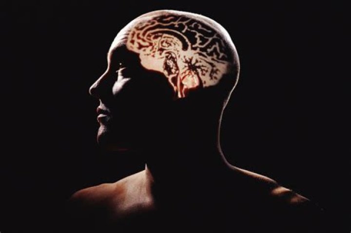 Human brains are capable of ‘mental time travel,’ study says