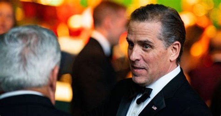 Hunter Biden arranged dinner with business partners and VP Joe