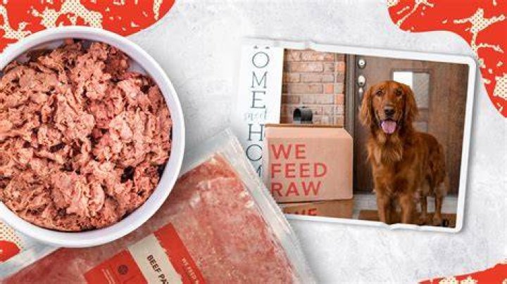 I've been eating raw meat for 166 days and won't stop until I die