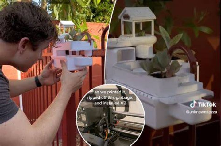 I built an elaborate house for the frog living in my fence