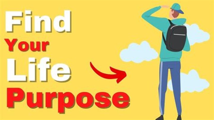 I found purpose in life tripping on toad venom: What it's like