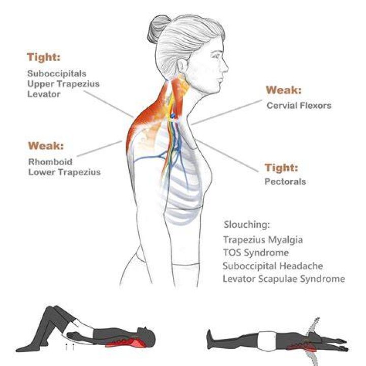 I’m called a 'neckfish' because my neck’s massive