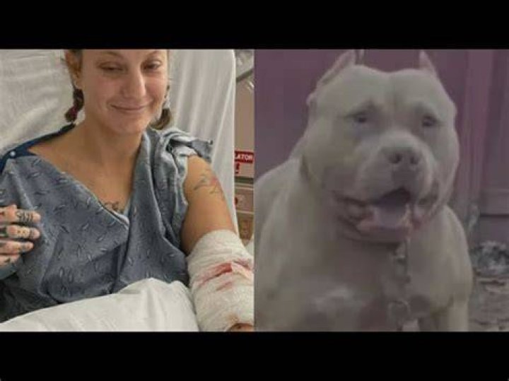 I slept with my beloved pit bull until he tried to eat me alive