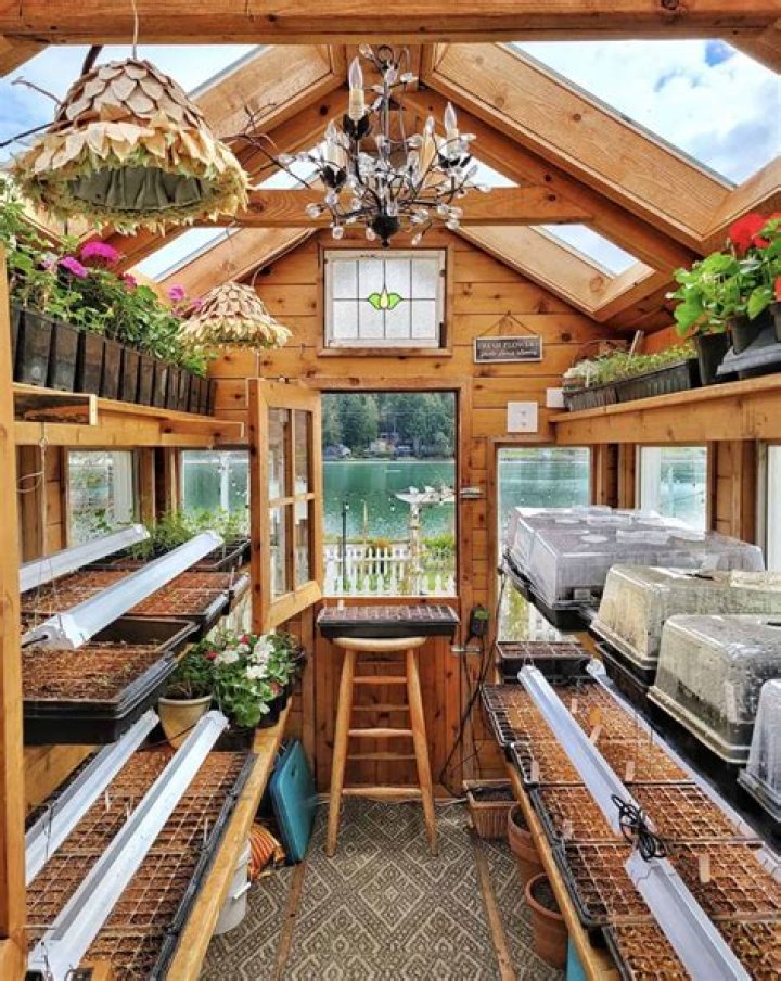 Inside posh 'Special K' therapy retreat