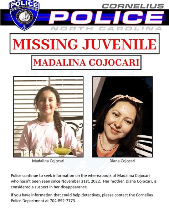Investigators believe missing Madalina Cojocari is alive