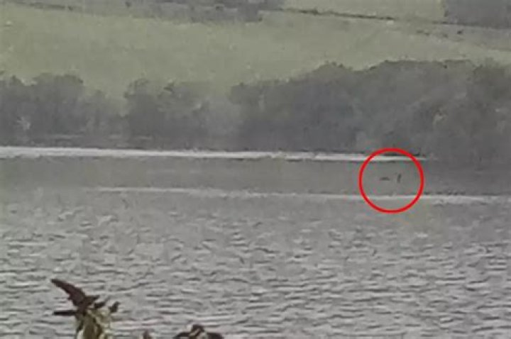 Is this the Loch Ness Monster? ‘Clearest evidence’ yet captured by stunned onlooker