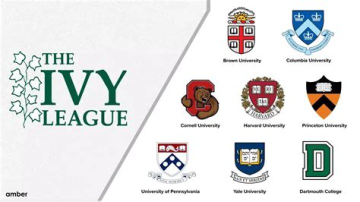 Ivy League students went to Palestine and 'targeted Israelis'