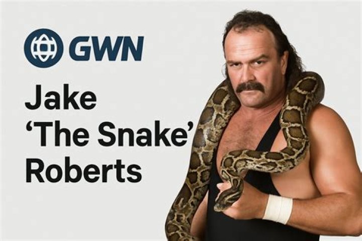 Jake 'The Snake' Roberts on WWE's A&E Biography, redemption