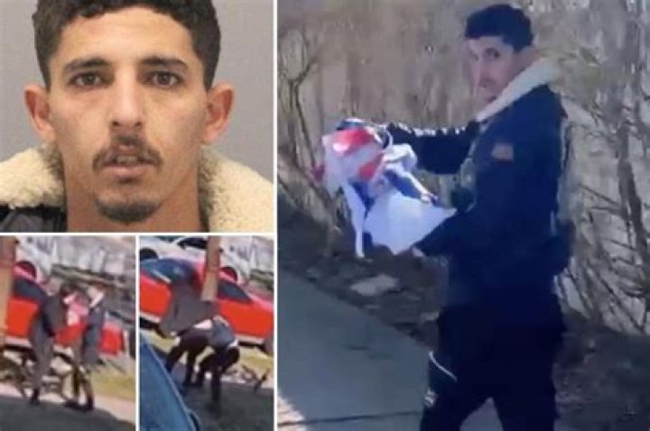 Jew-hating Palestinian migrant busted in NY for stealing pro-Israel flag: cops