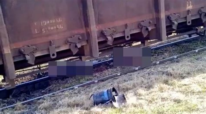 Julia de Albuquerque Violato cut in half in freak train collision