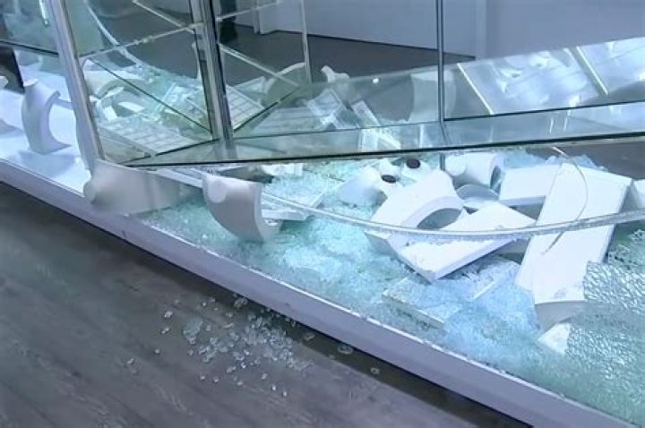 Los Angeles jewelry store employees beat would-be thief: video