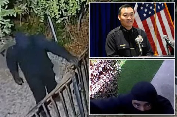 Los Angeles police forms task force to counter foreign gangs exploiting US visa system to target luxury homes