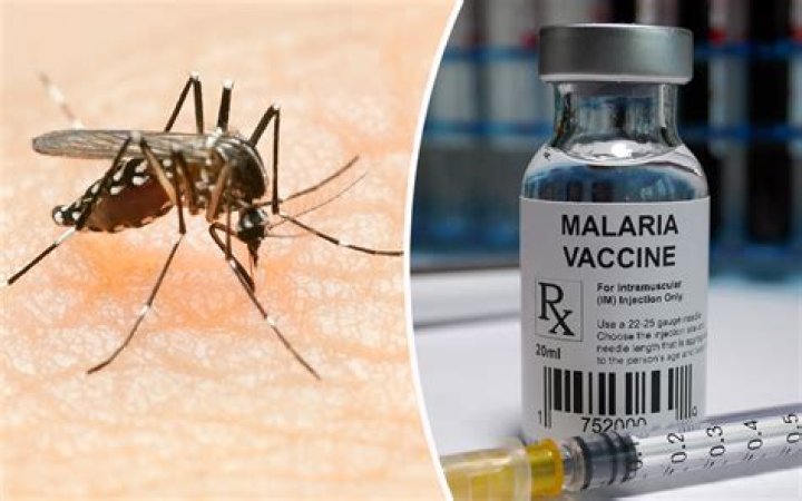 Malaria found in US for first time in 20 years