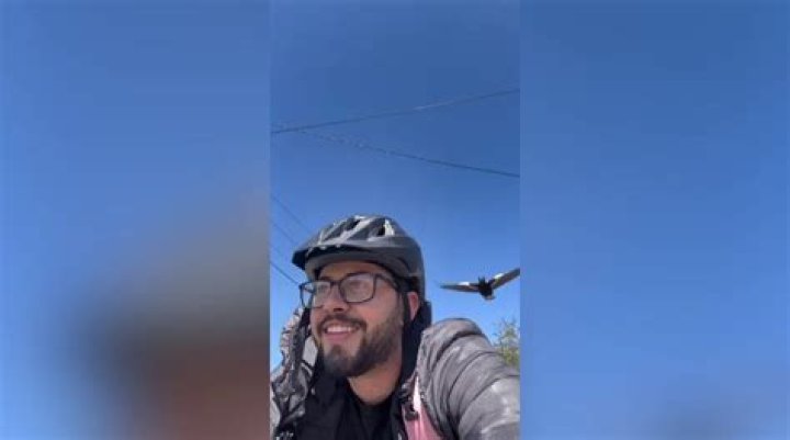Man claims he’s ‘targeted’ by the same bird after multiple attacks