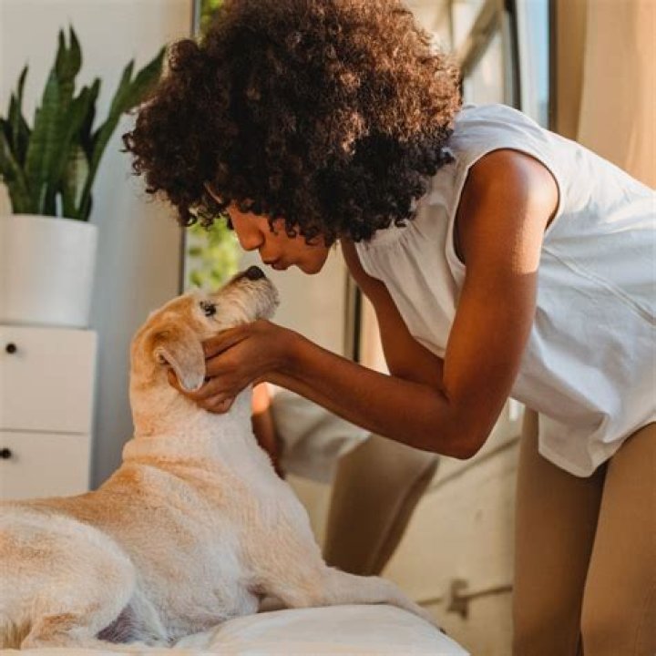 Man has all limbs amputated after dog's lick leads to infection
