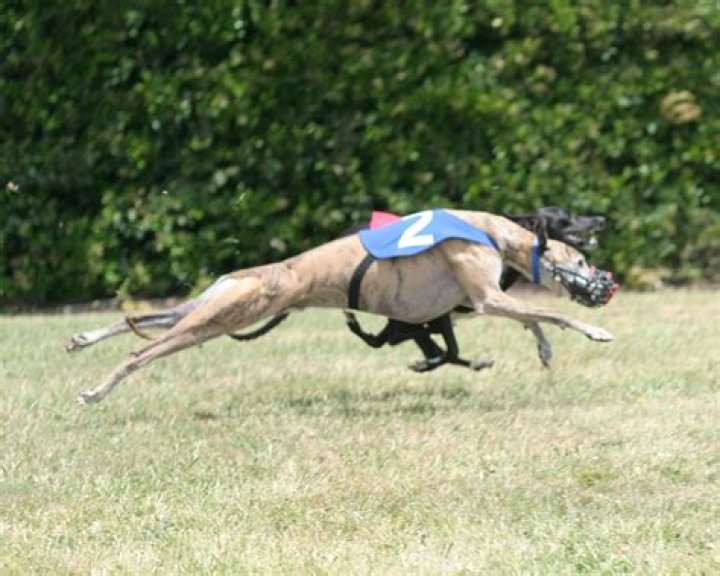 Man partially paralyzed after doing too many whippets: study