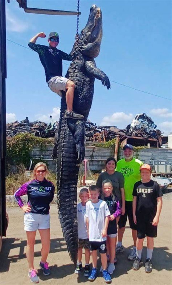 Massive alligator in 'attack mode' creeps up on kids in lake