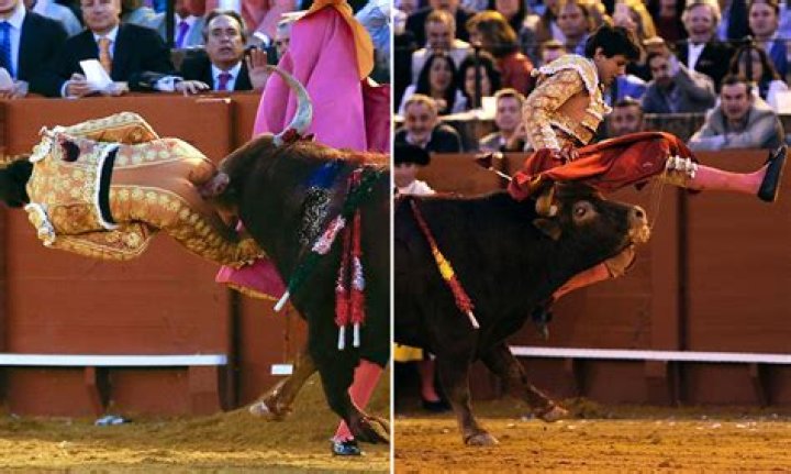 Matador gored through neck in very first bullfight