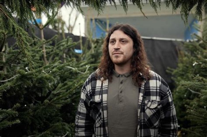 Maze made from 800 recycled Christmas trees may set world record