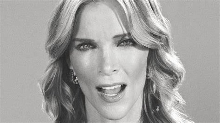 Megyn Kelly rips backlash over 'conservative dad' pinup calendar