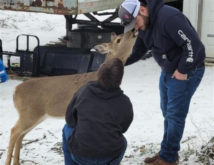 Michigan town demands justice after cops shoot dead deer