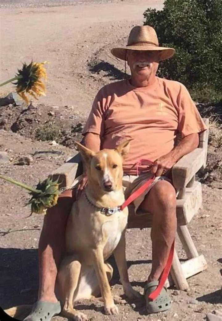 Missing California man Wilmer Trivett found dead in Mexico