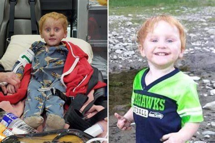 Missing Montana 3-year-old boy Ryker Webb found, survived in woods for two days