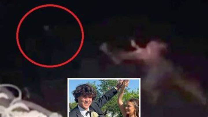 Missing teen Cameron Robbins jumped into 'really shark-infested' water