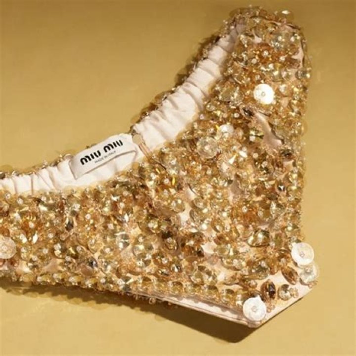 Miu Miu $5,600 panties may be most expensive underwear ever