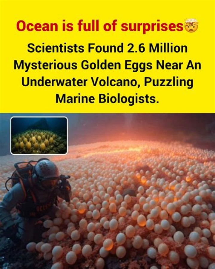 Mysterious 'alien eggs' spotted in Oklahoma lake