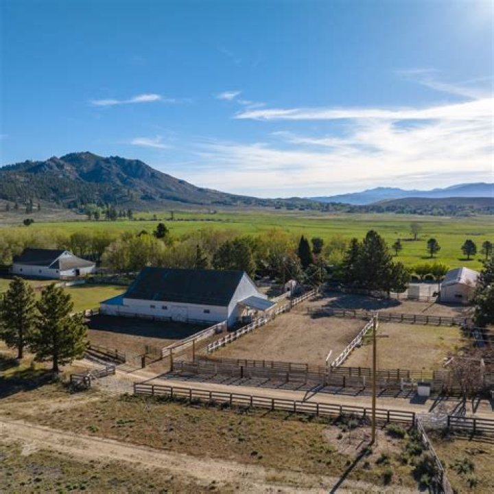 Nevada's Love Ranch brothel asks $1.2M for sale
