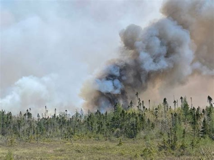 New Yorkers may smell smoke from Canadian wildfires this week