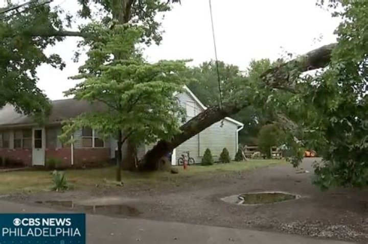 NJ faces 9th tornado of 2023, with twister taking down trees, power line