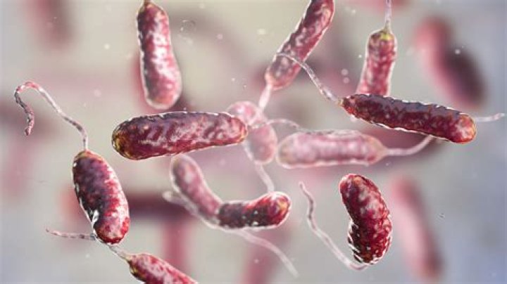NY health department releases guidance after 3 die from flesh eating bacteria