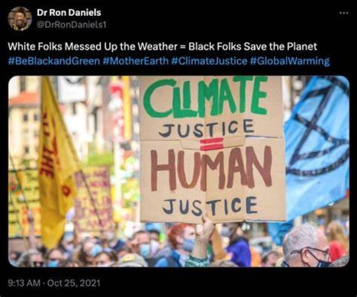 NY reparations panel members blame whites for climate change, blast Sen. Tim Scott and want to defund cops