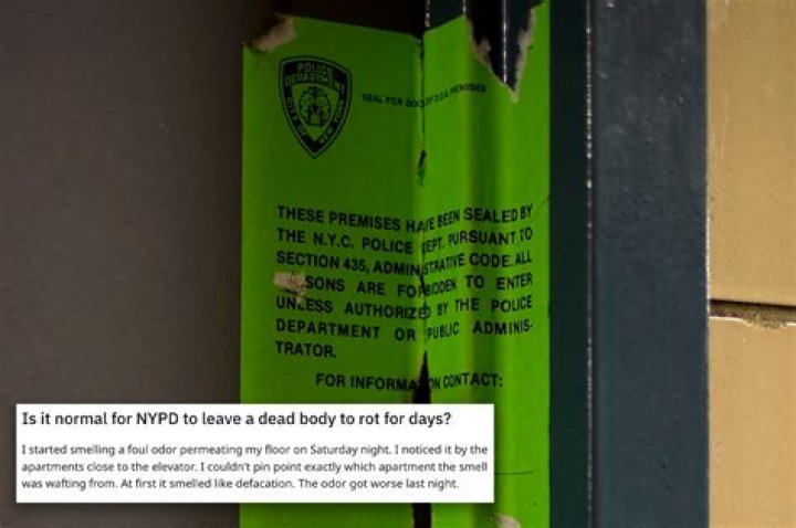 NYC resident asked for tips to rid home of dead body smell on Reddit