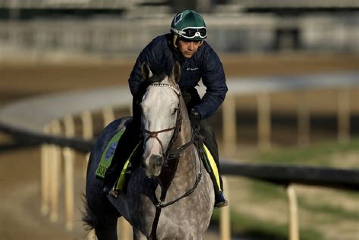 Odds, horses, complete bettor's guide