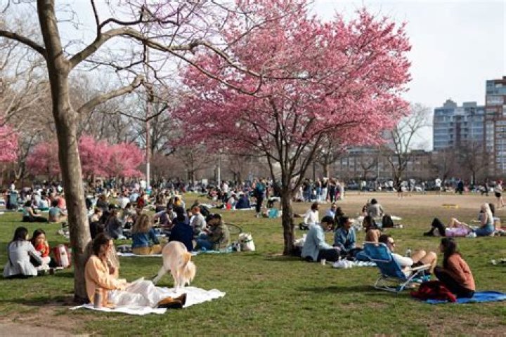 Over 50 migrants settle in at makeshift shelter in Brooklyn's McCarren Park