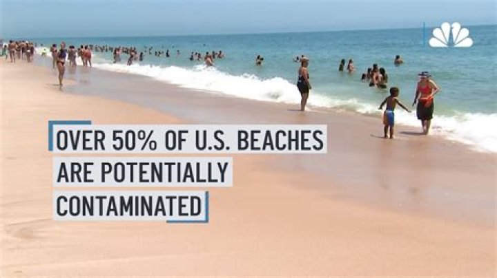 Over half of America's beaches covered in poop, unsafe: report