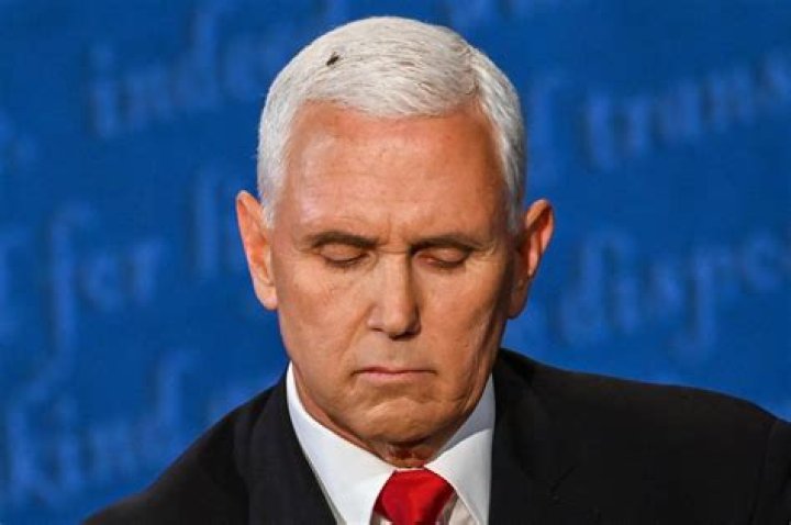Pence addresses fly on his head during VP debate