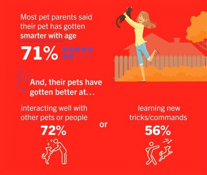 Pets can get smarter with age — even if you do not